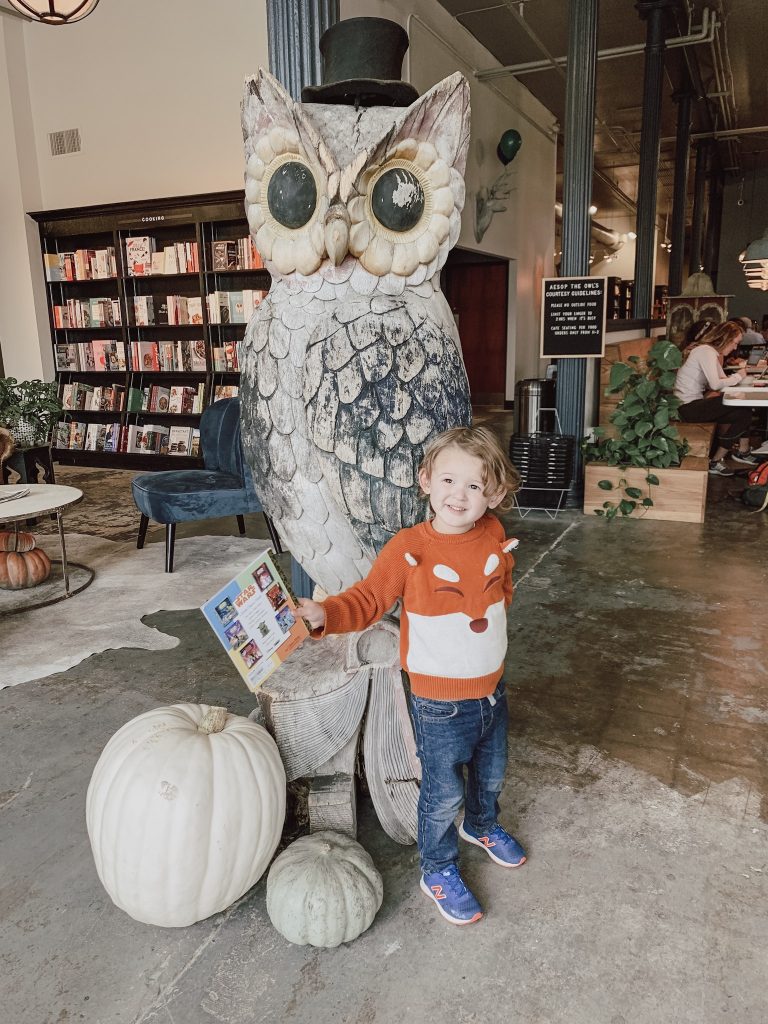 Fabled bookshop and cafe mascot and TFM's son. 