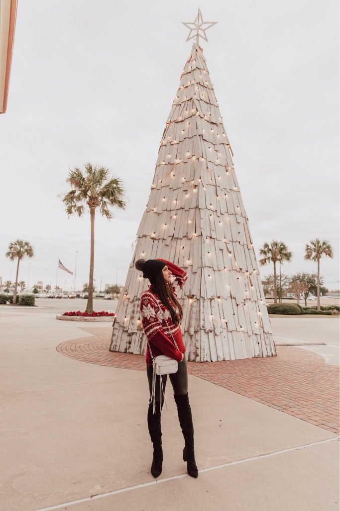 Grace Houston: One of the many places to take Christmas pictures. The Fashionable Maven.